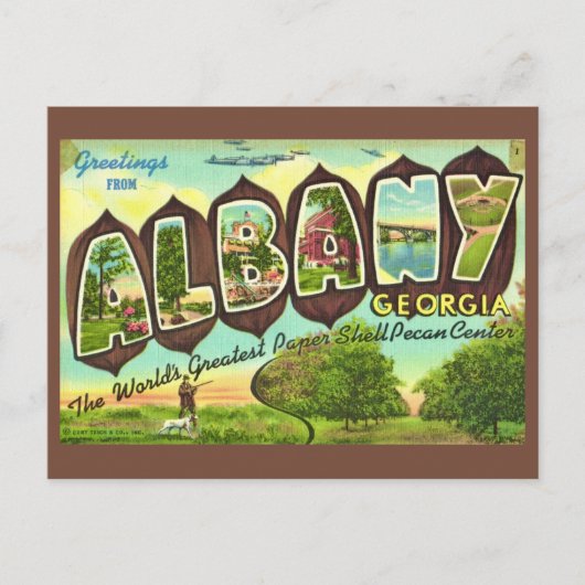 Albany Georgia Antieke Ansichtkaart Briefkaart (Voorkant)