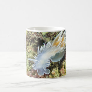 Albâtre Nudibranch - tasse