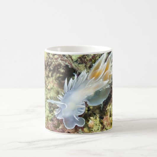 Albâtre Nudibranche - Mug (Centre)
