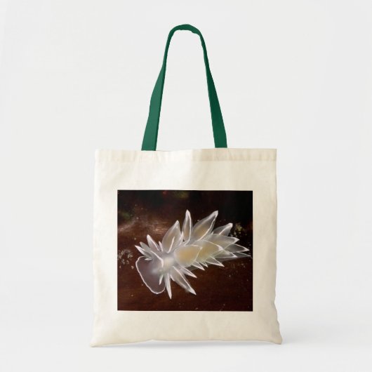 Albâtre Nudibranche - Sacs (Devant)