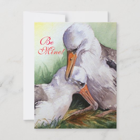 Albatros amoureux Carte Saint Valentin (Devant)