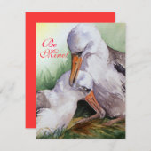 Albatros amoureux Carte Saint Valentin (Devant / Derrière)
