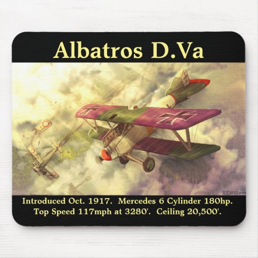 Albatros D.Va Muismat (Voorkant)