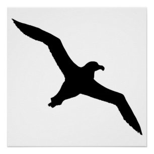 Albatros Perfect Poster