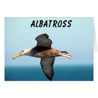 Albatros volant