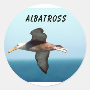 Albatross Flying Ronde Sticker