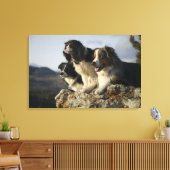 Alberta, Canada 2 Canvas Afdruk (Insitu (Woonkamer))