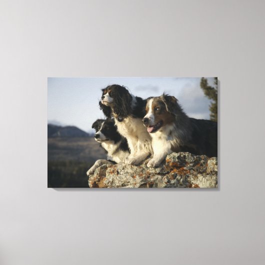 Alberta, Canada 2 Canvas Afdruk (Voorkant)