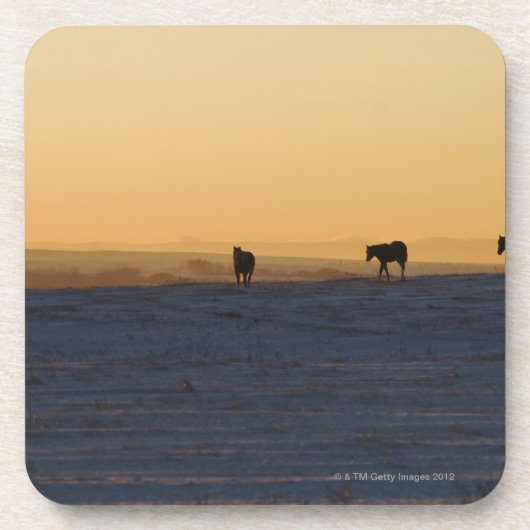 Alberta, Canada 3 Drankjes Onderzetter (Voorkant)