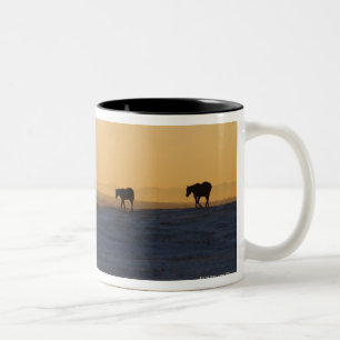 Alberta, Canada 3 Tweekleurige Koffiemok