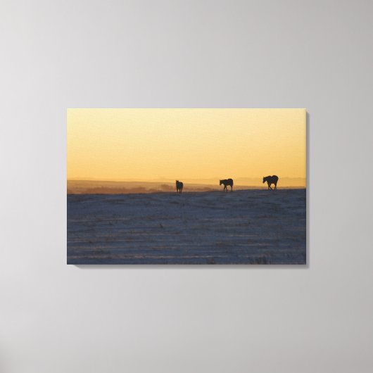 Alberta, Canada Canvas Afdruk (Voorkant)