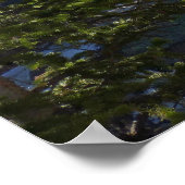 Alberta Falls I Poster (Hoek)