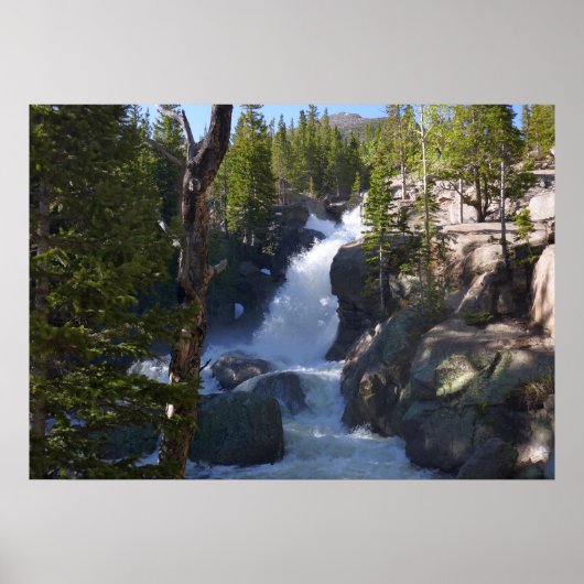 Alberta Falls I Poster (Voorkant)