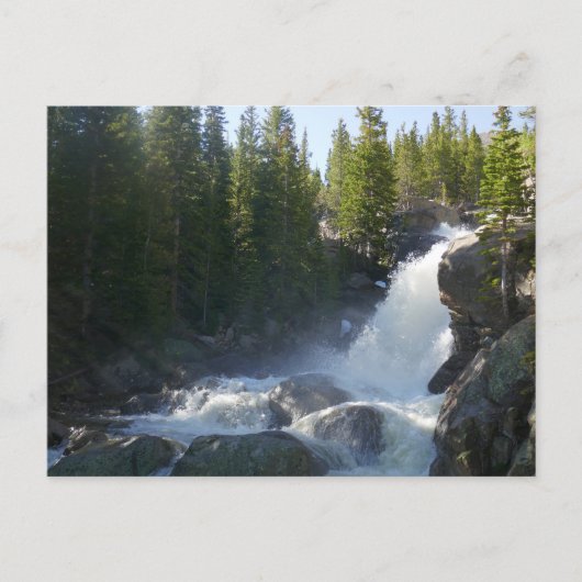 Alberta Falls II Briefkaart (Voorkant)