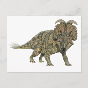 Albertaceratops Dinosaur die naar het front kijkt Briefkaart