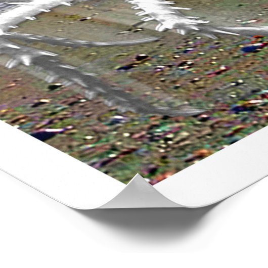 Albescent Print (Hoek)