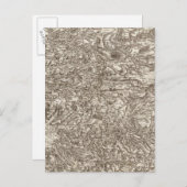 Albi Briefkaart (Voorkant / Achterkant)