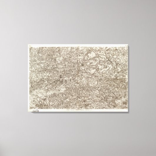 Albi Canvas Afdruk (Voorkant)