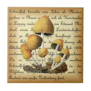 Albin Schmalfuß ~ Glimmertintling-1~ paddenstoele Tegeltje