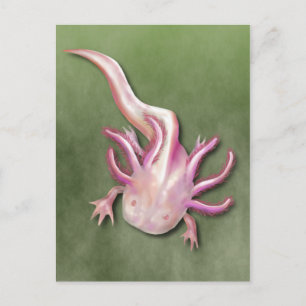 Albino Axolotl "Walking Fish" Art Briefkaart