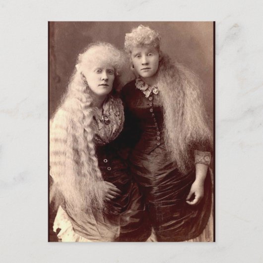  Albino Beauties Briefkaart (Voorkant)