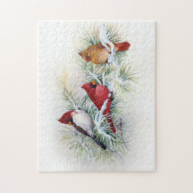 Albino Cardinal Visites Jigsaw Puzzle