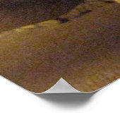 Albino Corn Snake Poster (Hoek)