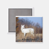 Albino Deer Magnet (Recto/Verso)