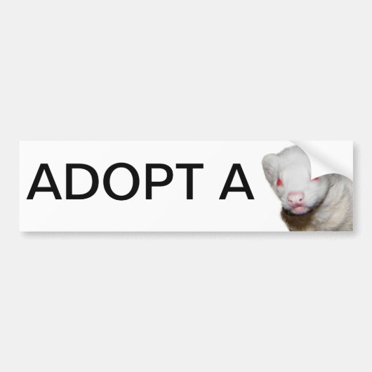 Albino Ferret Afbeelding Bumpersticker (Voorkant)