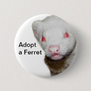 Albino Ferret Afbeelding Ronde Button 5,7 Cm