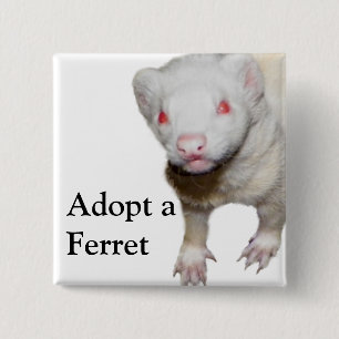 Albino Ferret Afbeelding Vierkante Button 5,1 Cm
