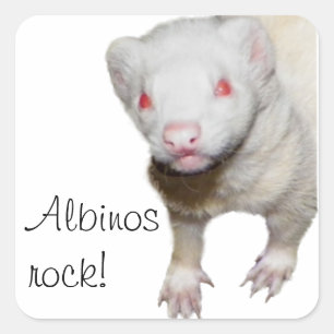 Albino Ferret Afbeelding Vierkante Sticker