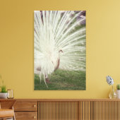 Albino pauock canvas afdruk (Insitu (Woonkamer))