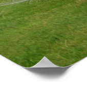 Albino Peacock Affiche les plumes (Coin)