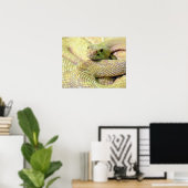 Albino RattleSnake Poster (Thuiskantoor)