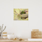 Albino RattleSnake Poster (Keuken)