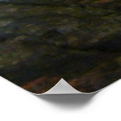 Albino Snake Poster (Hoek)