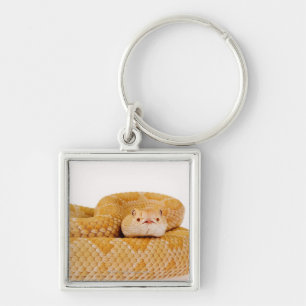 Albino Westerne diamondback ratelslang (Crotalus A Sleutelhanger