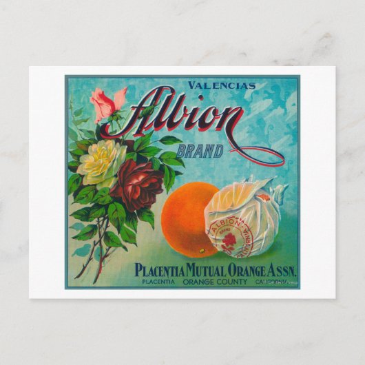 Albion Brand Citrus Crate Label Briefkaart (Voorkant)