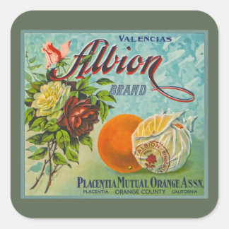 Albion Sinaasappels Fruit Crate Label