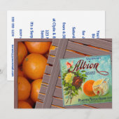 Albion Sinaasappels Fruit Crate Label Kaart (Voorkant / Achterkant)