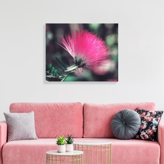 Albizia julibrissin (Perzische zijdeboom) Canvas Afdruk (Insitu (Woonkamer))
