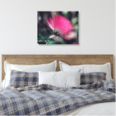 Albizia julibrissin (Perzische zijdeboom) Canvas Afdruk (Insitu (Slaapkamer))