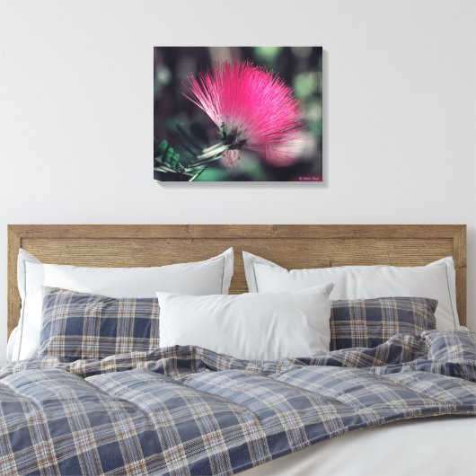 Albizia julibrissin (Perzische zijdeboom) Canvas Afdruk (Insitu (Slaapkamer))