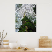 Albizia Tree Poster (Keuken)