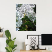 Albizia Tree Poster (Thuiskantoor)