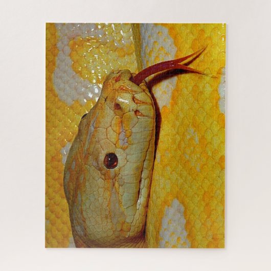 Alboino Birmese Python Legpuzzel (Verticaal)