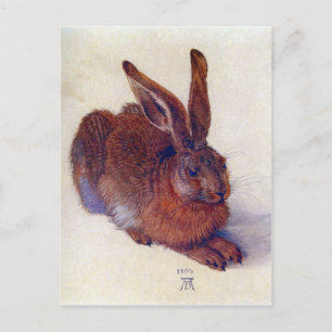 Albrecht Durer - Field hare Briefkaart