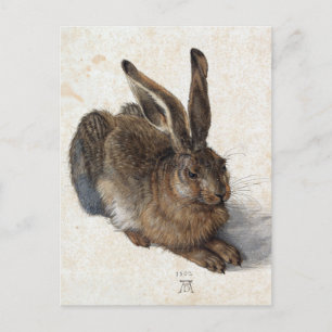 Albrecht Dürer, Jonge Haas, 1502 Briefkaart