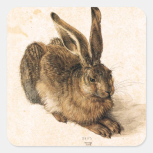Albrecht Durer Jonge Haas Stickers